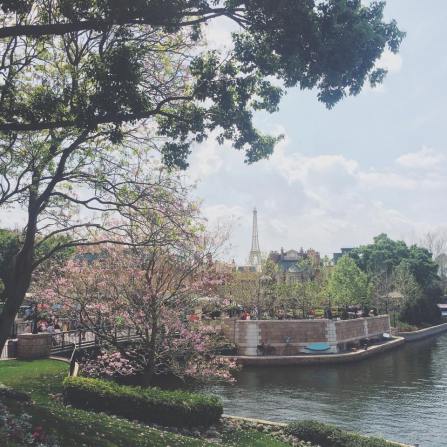 11084383_931864016869797_1936909863_n