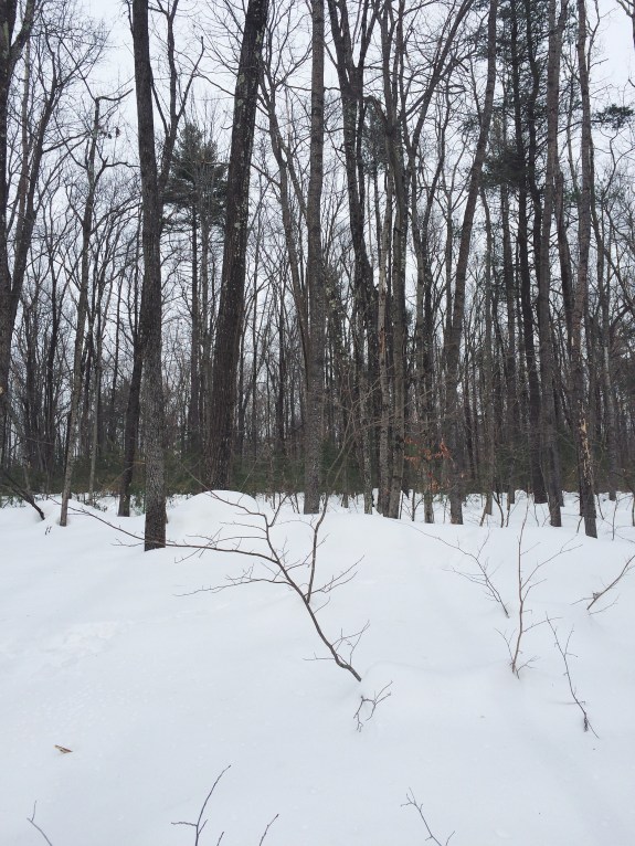 Processed with VSCOcam with f2 preset