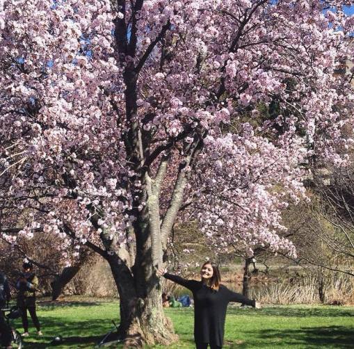 11160435_955363734519825_1621136248_n