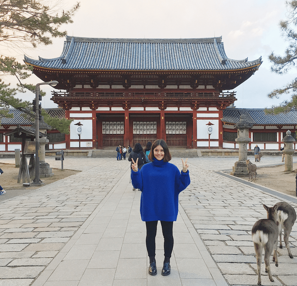 Screen Shot 2018-02-01 at 9.27.09 PM.png