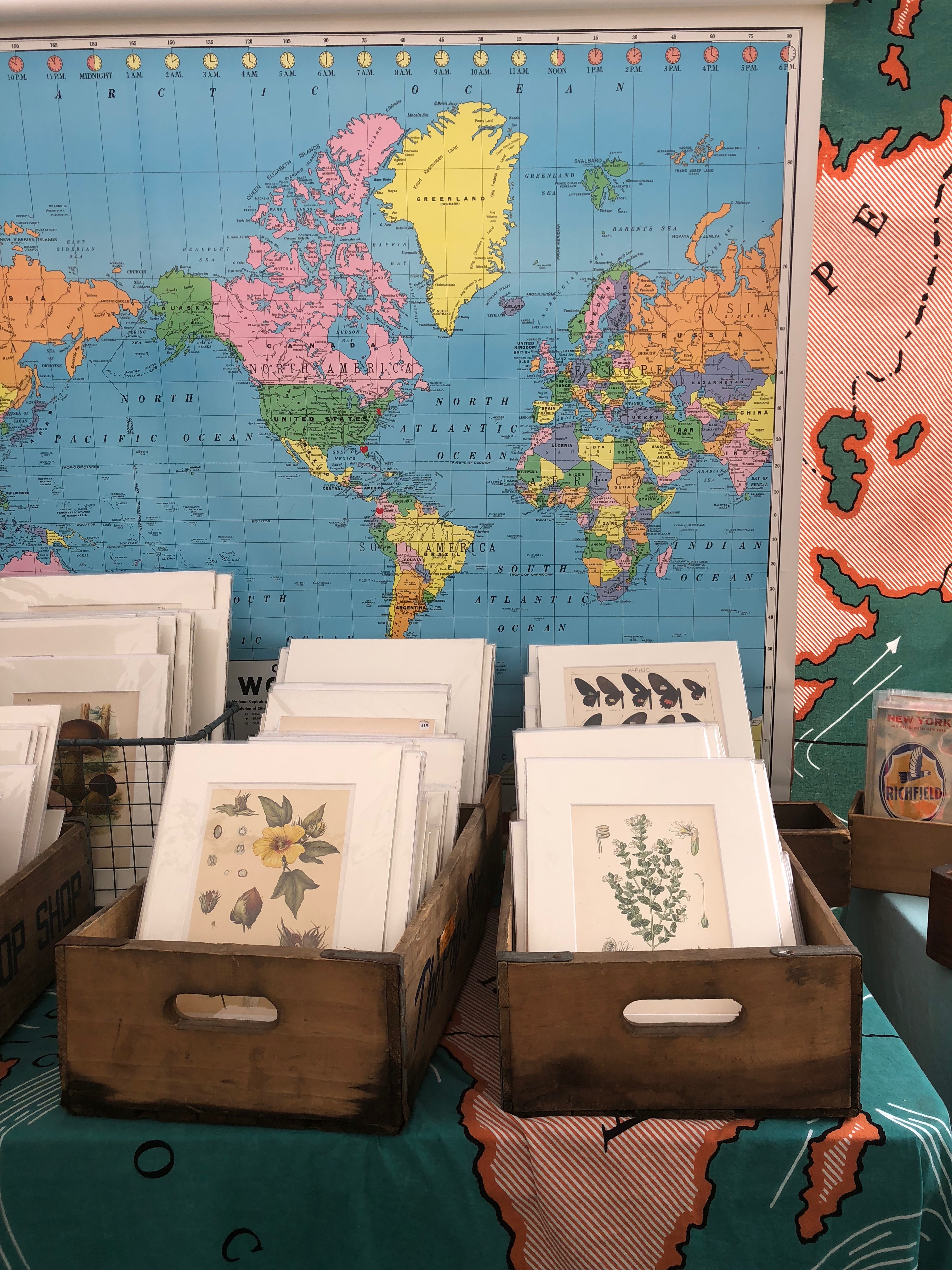 36316773_1909296479126541_8439624738233384960_n