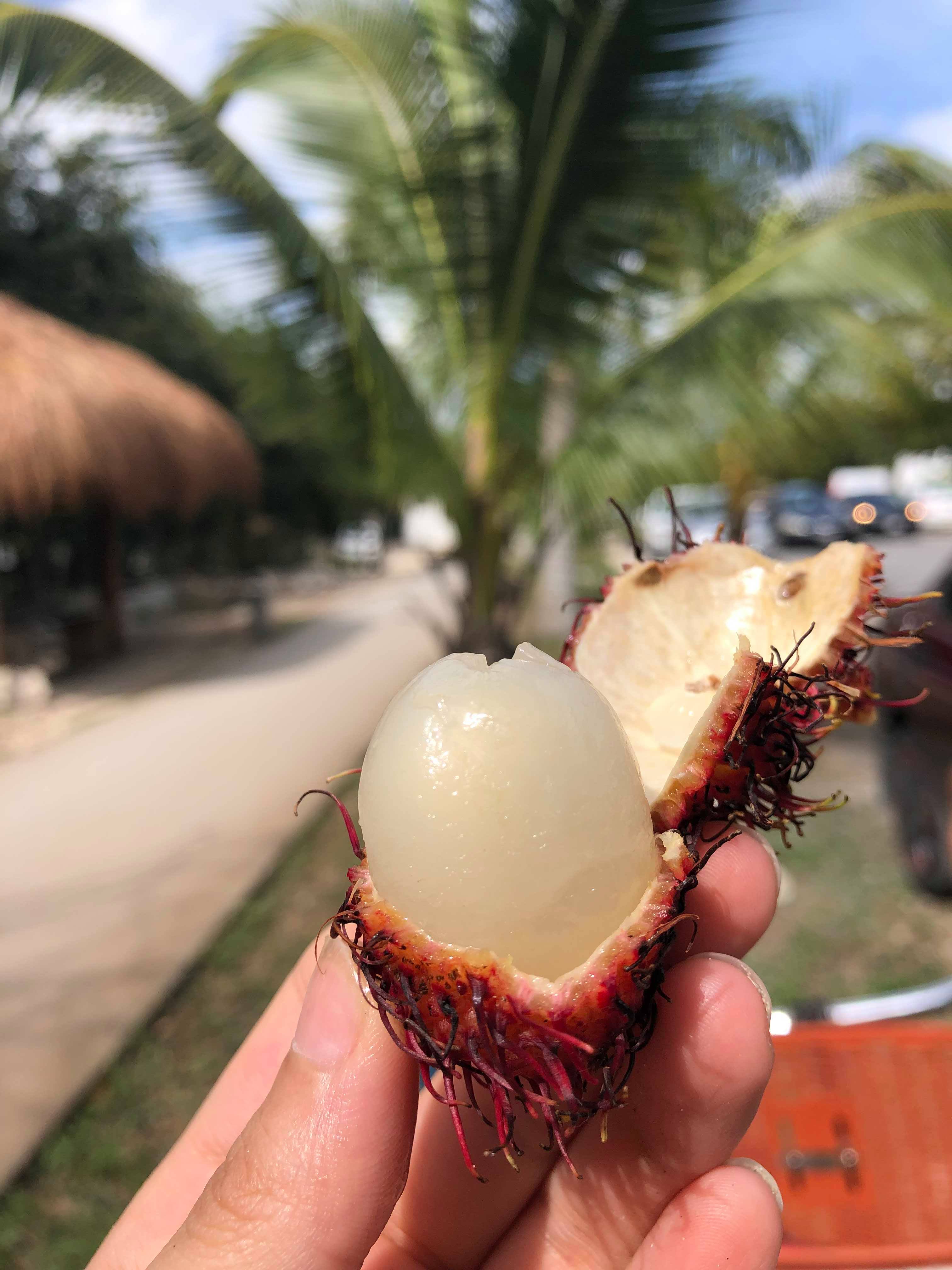 49211329_2021370827931060_7180055098268057600_n