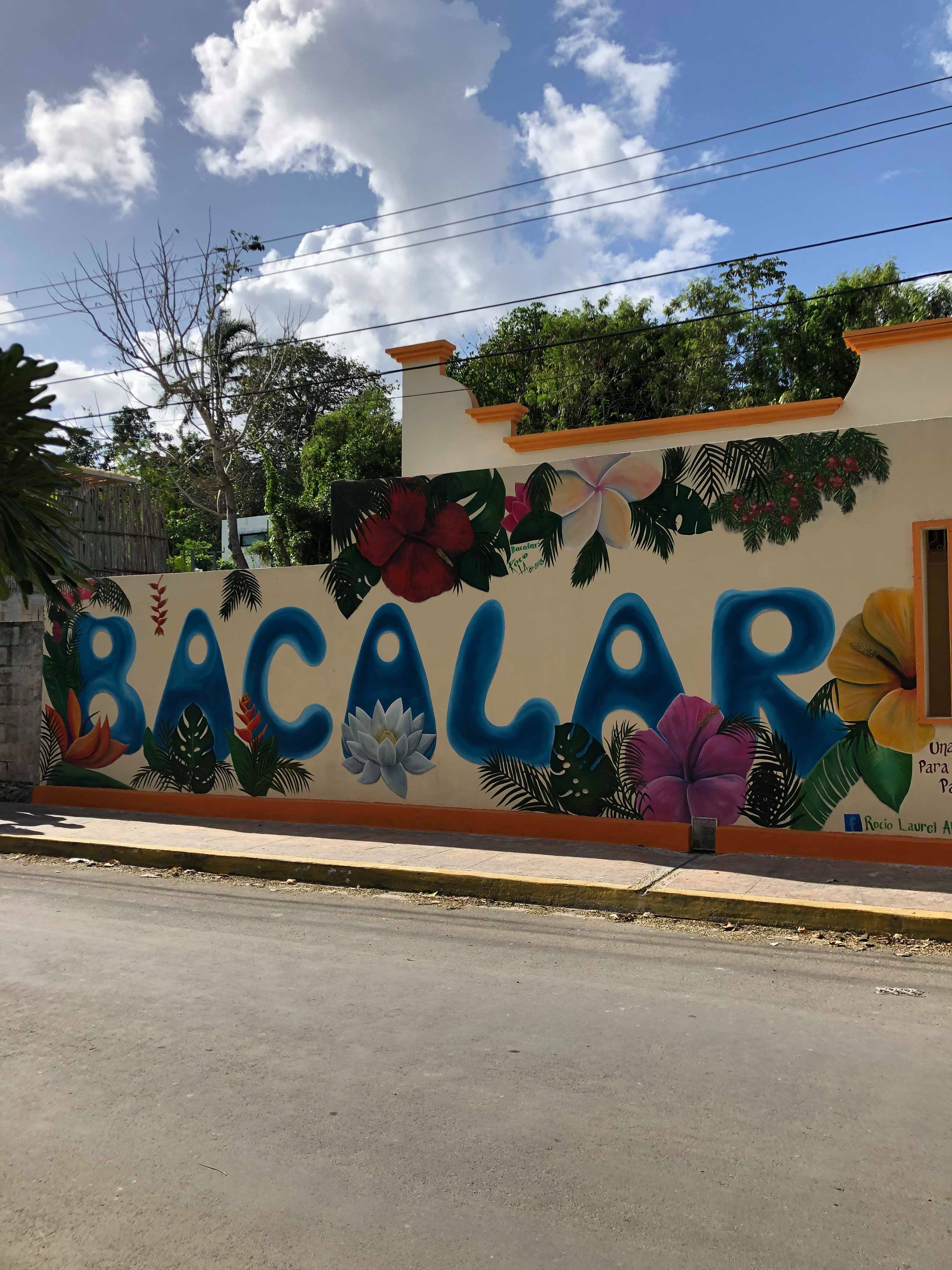 49676502_2241591972778860_7927590015788384256_n