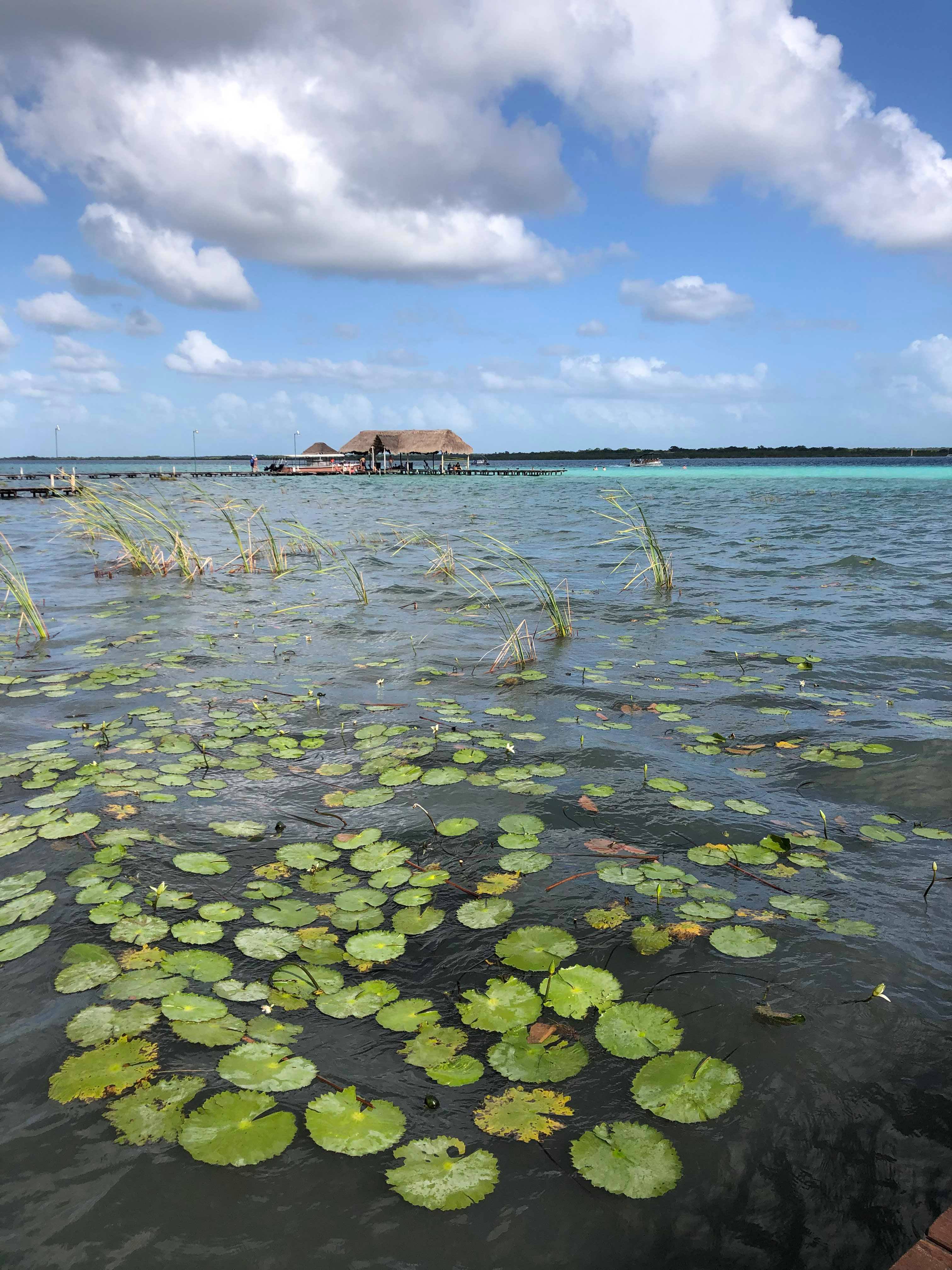 49848442_226855014917373_8905397543299448832_n