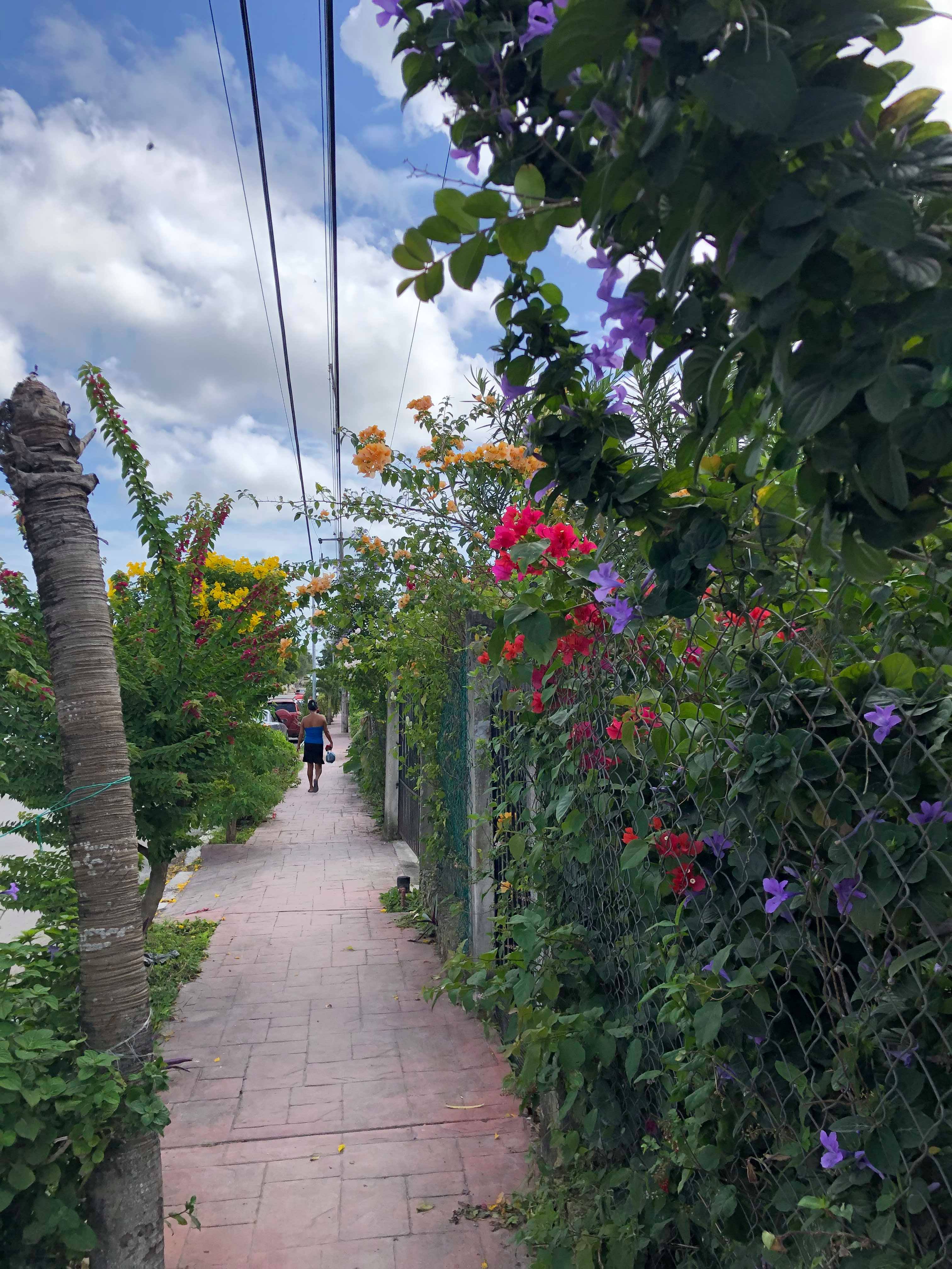 49855594_2191525947577534_7275204545318223872_n